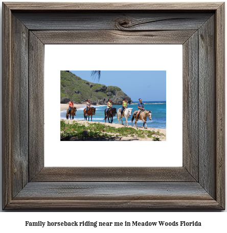 family horseback riding near me in Meadow Woods, Florida